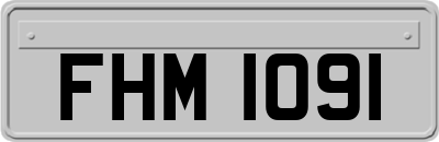 FHM1091
