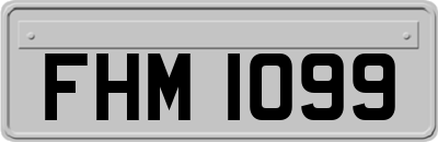FHM1099