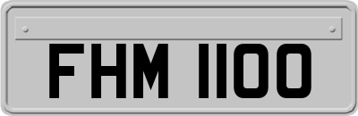 FHM1100