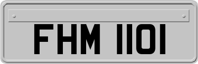 FHM1101