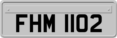 FHM1102