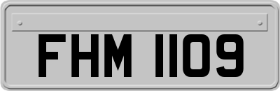 FHM1109