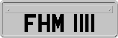 FHM1111