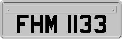 FHM1133