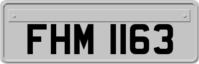 FHM1163