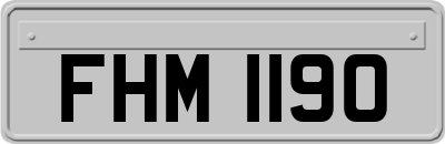 FHM1190