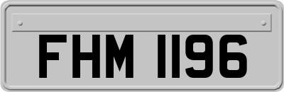 FHM1196