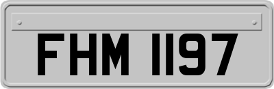 FHM1197