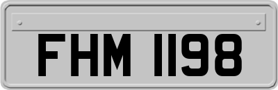 FHM1198