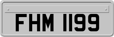 FHM1199