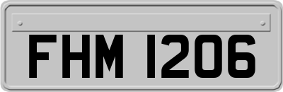 FHM1206