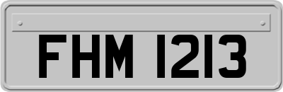 FHM1213
