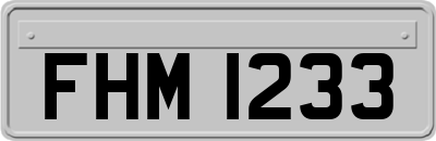 FHM1233