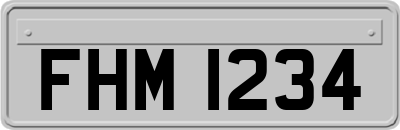FHM1234
