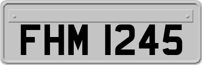 FHM1245