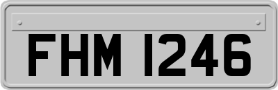 FHM1246