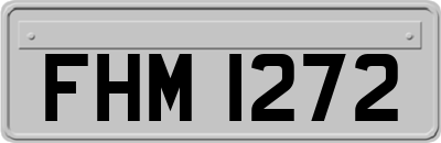 FHM1272