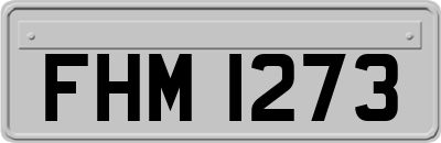 FHM1273