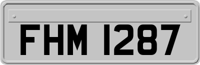 FHM1287