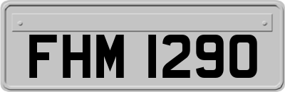 FHM1290