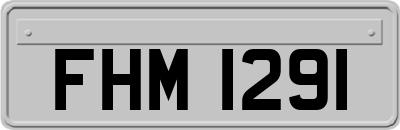 FHM1291