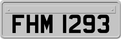 FHM1293