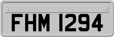 FHM1294