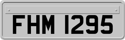 FHM1295