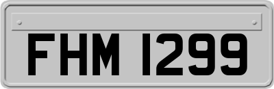 FHM1299