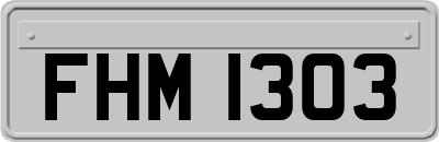 FHM1303
