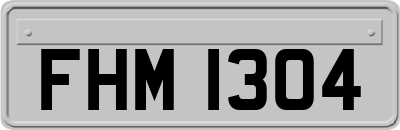 FHM1304