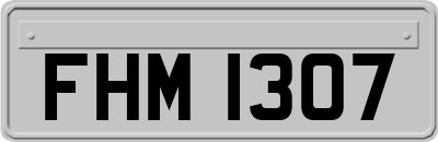FHM1307