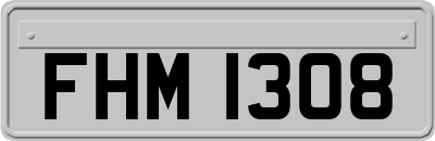 FHM1308
