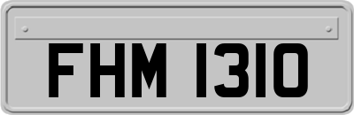 FHM1310