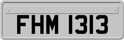 FHM1313