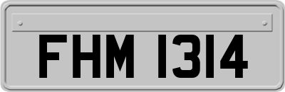 FHM1314