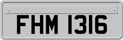 FHM1316