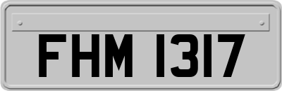 FHM1317