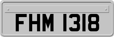 FHM1318