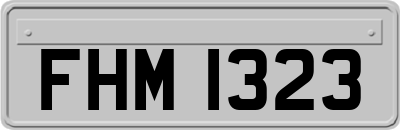 FHM1323