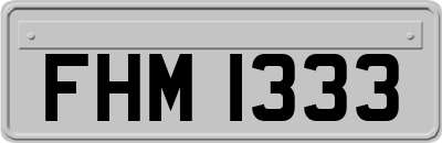 FHM1333