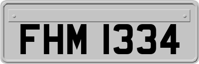 FHM1334