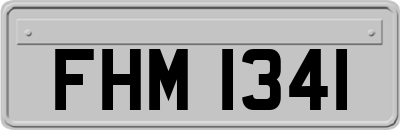 FHM1341