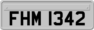 FHM1342