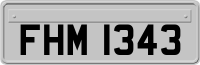 FHM1343