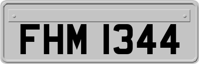 FHM1344