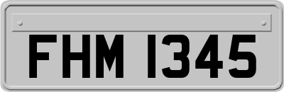 FHM1345