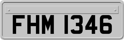 FHM1346