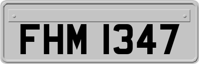 FHM1347