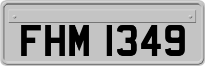 FHM1349